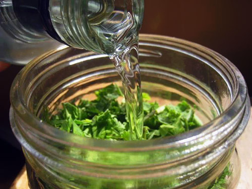 Рецепты для наружного применения от варикоза на ногах